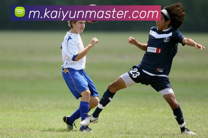 开云体育APP 封面图